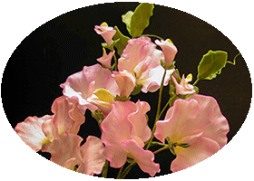 Sugar Craft Flowers Sugar Craft Flowers