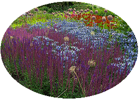 Harlow Car - RHS Garden Harrogete Harlow Car - RHS Garden Harrogete